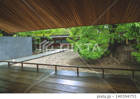 April 25 2026 Ueno Toshogu Shrine Garden Courtyard With Ancient Tree April 25 2026 Ueno Toshogu Shrine Garden Courtyard With Ancient Tree 140394755