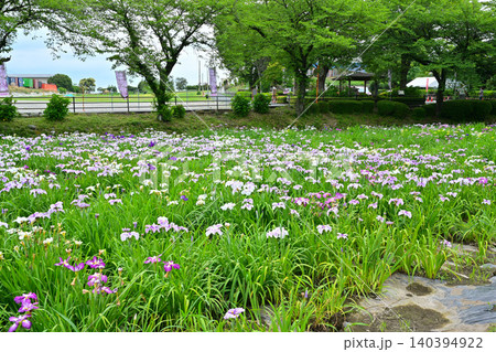 赤堀花菖蒲園 140394922