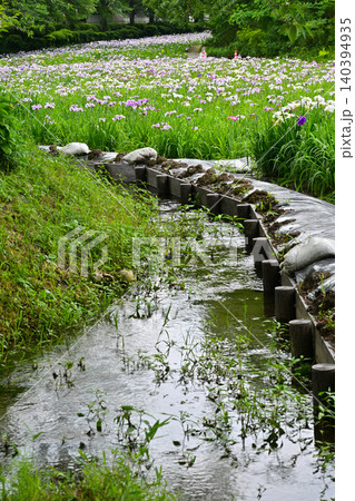 赤堀花菖蒲園 赤堀花菖蒲園 140394935