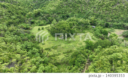 Green landscape Cebu Philippines scenic tropical vegetation grassy surroundings diverse ecosystem forest agricultural land unique palm trees coconut Cocos nucifera clearing coastal environments 140395353