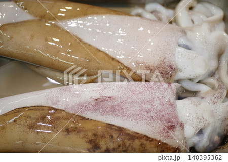 Squid cephalopods squirts ocean sea fresh mollusc raw variety tentacles seafood display container freezer shelves shelf in supermarket market stall buying eat food camouflage squirting ink raw food 140395362