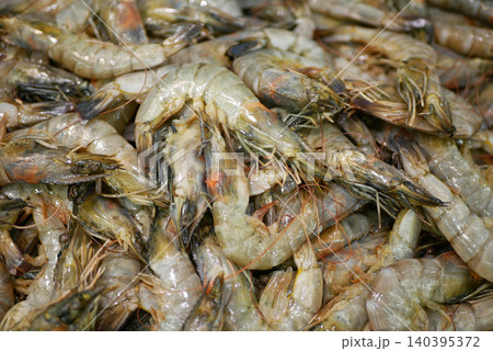 Pile shrimp sea food meal meat previously frozen refreshed raw white gray Litopenaeus vannamei penaeus whiteleg Caridea crustaceans small sweet setiferus vernacular crangon colloquial head-on uncooked 140395372