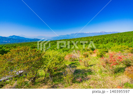 【山梨県】ツツジ咲く清里・美し森から南アルプスと富士山展望 【山梨県】ツツジ咲く清里・美し森から南アルプスと富士山展望 140395597