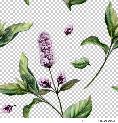 Mint seamless pattern watercolor illustration. Mentha medicinal herb blossom for refreshing dental care pharmacy branding, cooling remedy packaging, tonic tea design, organic herbal wellness print 140395958