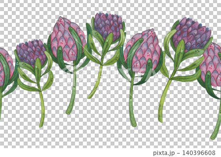 Seamless border of protea flowers, hand-drawn watercolor illustration, cartoon. Design for stickers, cards, scrapbooking. Plant, green, pink, flower, nature Seamless border of protea flowers, hand-drawn watercolor illustration, cartoon. Design for stickers, cards, scrapbooking. Plant, green, pink, flower, nature 140396608