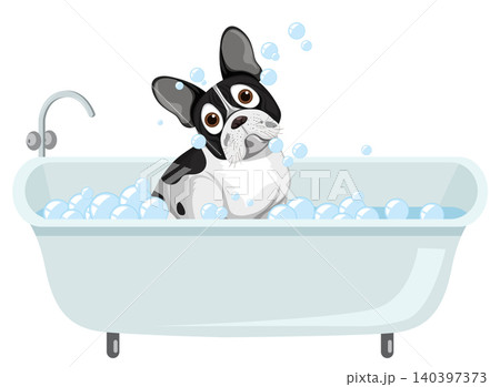 French Bulldog Taking a Bath in Tub with Bubbles French Bulldog Taking a Bath in Tub with Bubbles 140397373