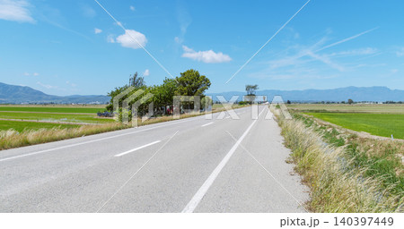 a road through the Ebro Delta rice fields, Spain 140397449