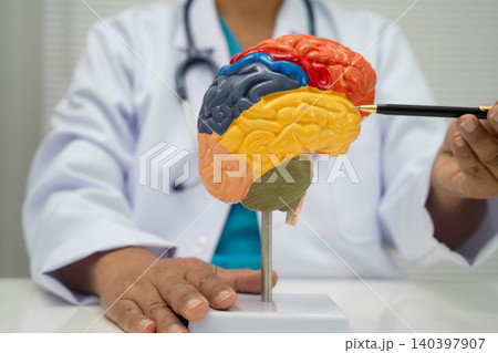 Alzheimer disease, Asian doctor holding brain anatomy model for study diagnosis and treatment in hospital. 140397907
