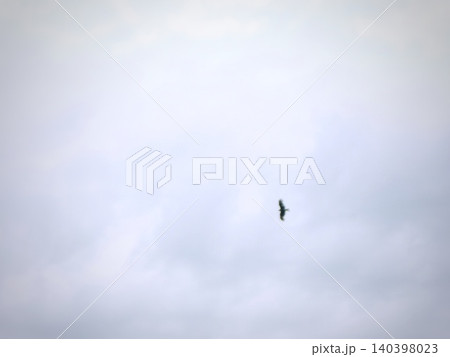 広い空を飛ぶ一羽の鳥のシルエット 広い空を飛ぶ一羽の鳥のシルエット 140398023