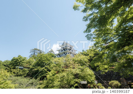 郡上八幡城 140399187