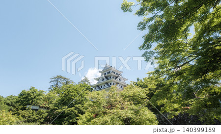 郡上八幡城 郡上八幡城 140399189