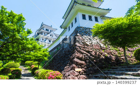 郡上八幡城 郡上八幡城 140399237