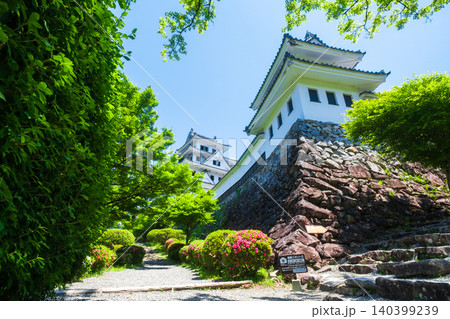 郡上八幡城 郡上八幡城 140399239
