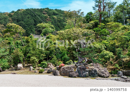 金地院 鶴亀の庭 金地院 鶴亀の庭 140399758