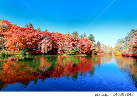 雲場池の紅葉 140399843