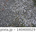 桜の花びらが散った地面 140400029