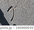 砂浜に打ち上げられた流木 140400030