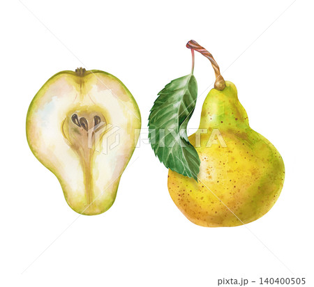 Watercolor yellow pear fruit set with hand-drawn whole and half cut slices isolated on white background. For juice packaging, recipe cards, and farmers market branding. Watercolor yellow pear fruit set with hand-drawn whole and half cut slices isolated on white background. For juice packaging, recipe cards, and farmers market branding. 140400505