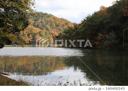 紅葉した木々と池 紅葉した木々と池 140400545