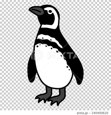 Penguin (Magellanic penguin) Penguin (Magellanic penguin) 140400620