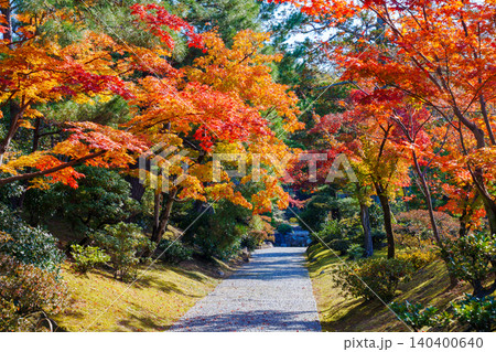 秋の桂離宮 御幸道から見る紅葉山 秋の桂離宮 御幸道から見る紅葉山 140400640