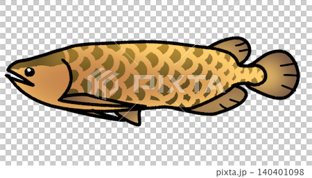 asian arowana 140401098