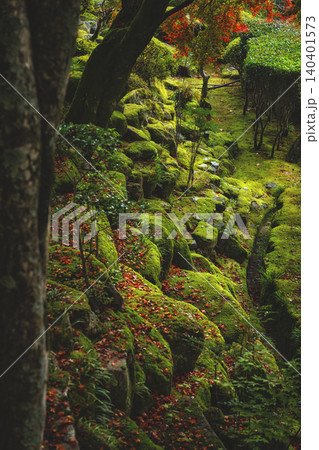 苔むす岩と紅葉の落ち葉の日本庭園 苔むす岩と紅葉の落ち葉の日本庭園 140401573