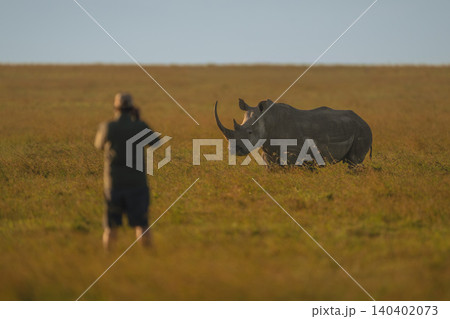 Man stands photographing black rhino on savanna Man stands photographing black rhino on savanna 140402073