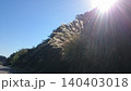 太陽とすすき 140403018