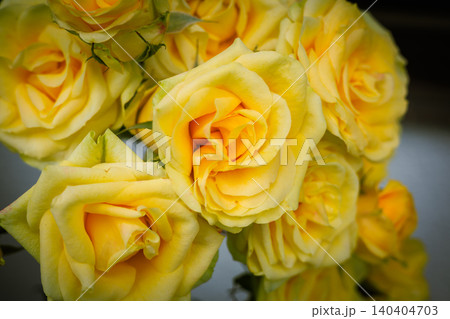 黄色いバラの花 黄色いバラの花 140404703