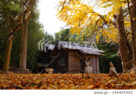 若八幡神社の紅葉 140405493