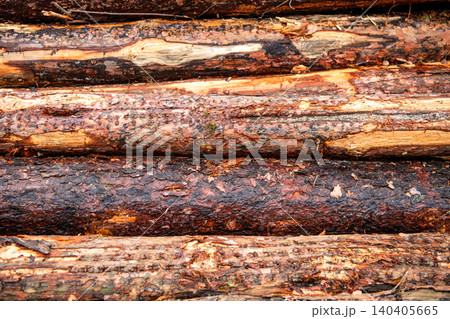 Agriculture and forestry. Trunk pine tree log background. Timber product warehouse. Wood lumber material. Softwood lumber. Wood log, timber logging. Environmental issues. Logging timber. Timber log 140405665