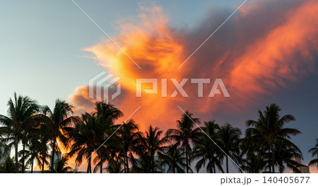 Summer vacation in Miami south beach, Florida. Palm tree on sunny day. Tropical beach in Miami. Tropical outdoor scene with palm tree. Tropical summer vacation. Palm tree 140405677