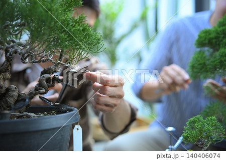 Closeup bonsai pruning with precision care and craftsmanship Closeup bonsai pruning with precision care and craftsmanship 140406074