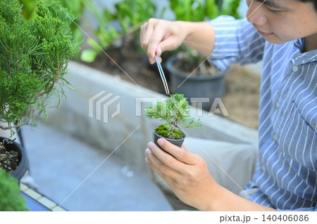 Cropped shot man making bonsai pruning with precision care and craftsmanship Cropped shot man making bonsai pruning with precision care and craftsmanship 140406086
