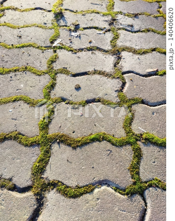 Moss-covered cobblestone pathway with sunlit details and natural texture Moss-covered cobblestone pathway with sunlit details and natural texture 140406620