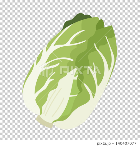 手描きのかわいいの白菜のイラスト 手描きのかわいいの白菜のイラスト 140407077