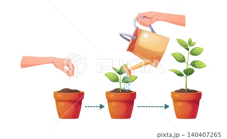 Gardening life cycle infographic illustration. Planting seeds, watering a sprout with a watering can, and a grown seedling in terracotta pots connected by arrows on a white background. Perfect for Gardening life cycle infographic illustration. Planting seeds, watering a sprout with a watering can, and a grown seedling in terracotta pots connected by arrows on a white background. Perfect for 140407265