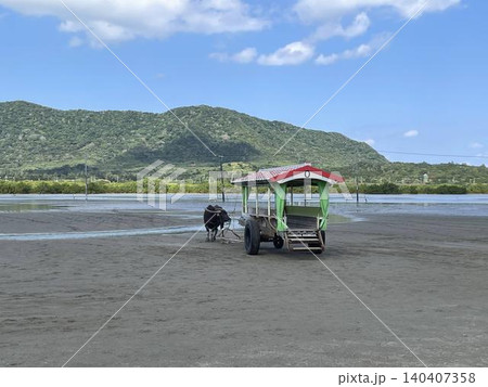 水牛車と青空の観光風景 水牛車と青空の観光風景 140407358