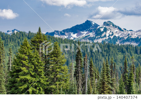Hill landscape with forest. Nature mountain forest. Green forest wood landscape in mountain. Nature of mixed forest. Landscape of scenery nature. Scenic landscape woodland. Pine scented air Hill landscape with forest. Nature mountain forest. Green forest wood landscape in mountain. Nature of mixed forest. Landscape of scenery nature. Scenic landscape woodland. Pine scented air 140407374