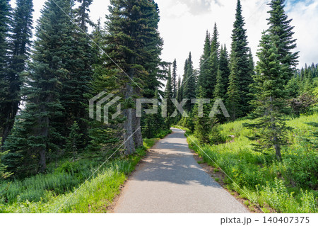 Landscape of scenery nature. Scenic landscape woodland. Hill landscape with forest. Nature mountain forest. Green forest wood landscape in mountain. Nature of mixed forest Landscape of scenery nature. Scenic landscape woodland. Hill landscape with forest. Nature mountain forest. Green forest wood landscape in mountain. Nature of mixed forest 140407375