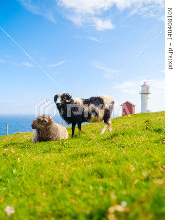 Faroe Islands summer landscape with sheep grazing on green meadows near a coastal lighthouse. Faroe Islands summer landscape with sheep grazing on green meadows near a coastal lighthouse. 140408109