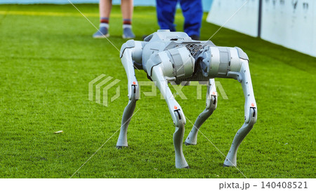 Robotic quadruped dog machine walking on artificial grass outdoors with people 140408521