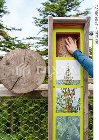 Hand touching tree bark on educational nature display 140408671