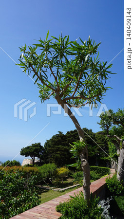 Beautiful public garden in Capri island - Giardini di Augusto 140409148