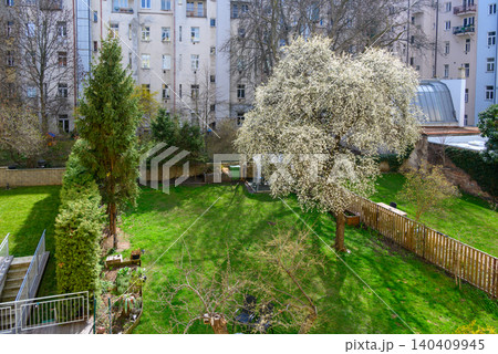 Spring courtyard with blooming tree and green lawn Spring courtyard with blooming tree and green lawn 140409945