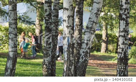 Birch trees creating natural screen with kids playing inside a park on a sunny day 140410102