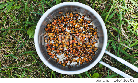 Colorado potato beetles and larvae frying in a metal pot over grass, illustrating unusual protein sources and pest control Colorado potato beetles and larvae frying in a metal pot over grass, illustrating unusual protein sources and pest control 140410308