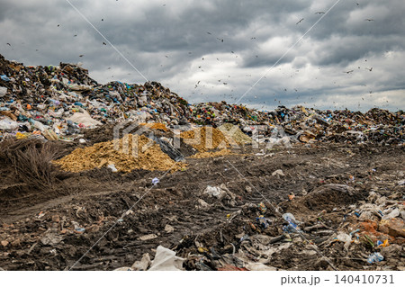 Landfill pollution creating environmental crisis, birds scavenging against a cloudy sky Landfill pollution creating environmental crisis, birds scavenging against a cloudy sky 140410731