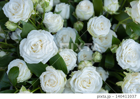 White rose bouquet symbolizing wedding, purity, romance, and elegance White rose bouquet symbolizing wedding, purity, romance, and elegance 140411037